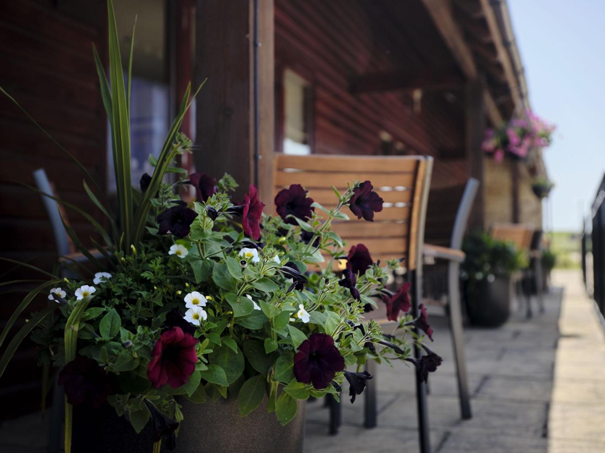 Monmouth Retreat Cottage Beckington Exterior foto